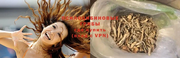 молекула духа Алексеевка