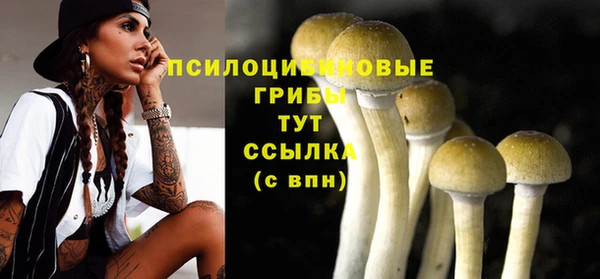молекула духа Алексеевка