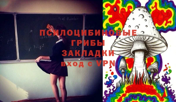 молекула духа Алексеевка