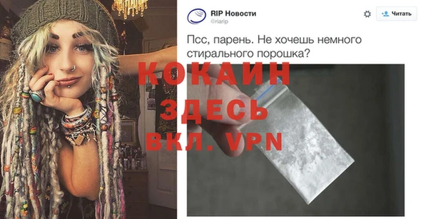соль ск Алексин