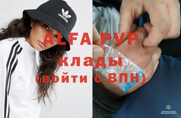 ECSTASY Михайлов
