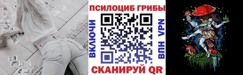 где можно купить наркотик  Аргун  MEGA рабочий сайт  Галлюциногенные грибы ЛСД 